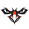DT Image